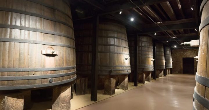 Rioja wino czy Tempranillo? Rola głównego szczepu w kultowym regionie